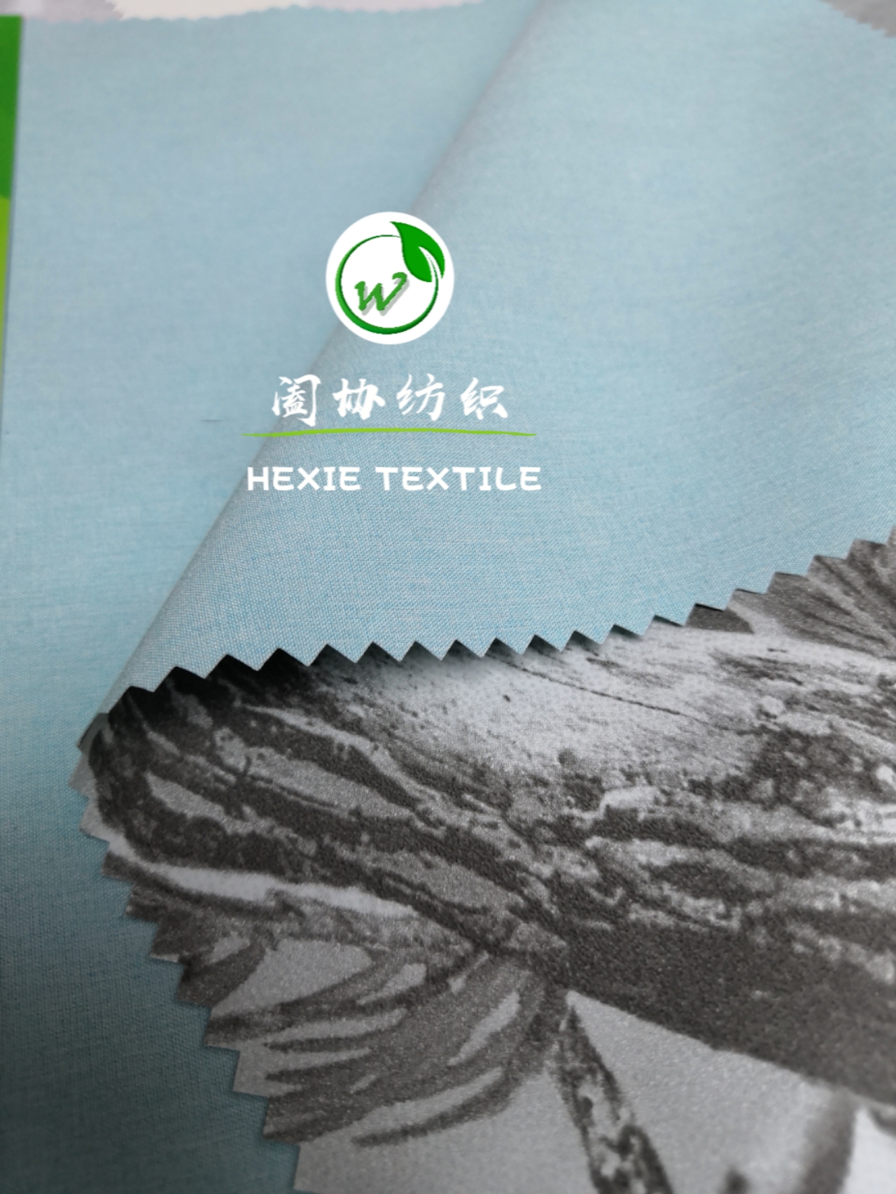 双色系列 (34)